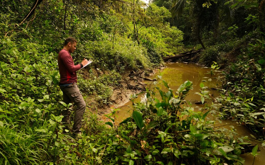 Biodiversidade de insetos aquáticos do Parque Estadual Chandless é tema artigo científico