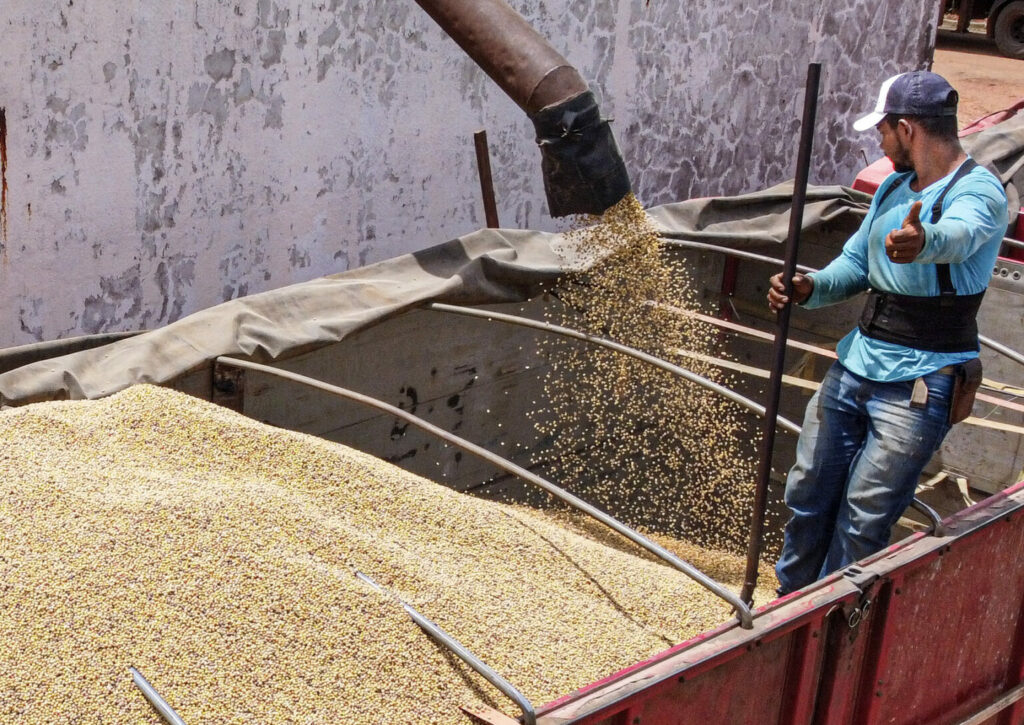 Acre está entre os sete estados com maior variação positiva na produção agrícola