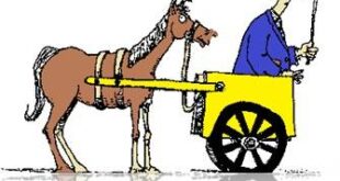 Coluna da Angélica- Colocar a carroça para puxar o cavalo não é uma boa ideia. Principalmente na política