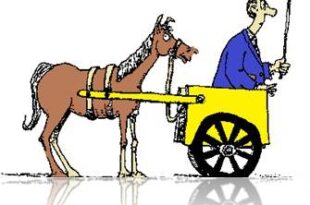 Coluna da Angélica- Colocar a carroça para puxar o cavalo não é uma boa ideia. Principalmente na política