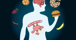 Hábitos alimentares que pioram o metabolismo e levam ao aumento de peso