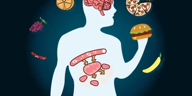 Hábitos alimentares que pioram o metabolismo e levam ao aumento de peso