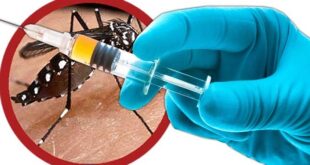 MPF quer informações sobre imunização contra a dengue no Acre