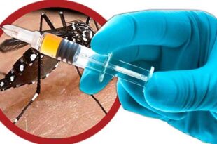 MPF quer informações sobre imunização contra a dengue no Acre