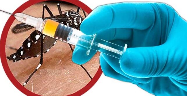MPF quer informações sobre imunização contra a dengue no Acre