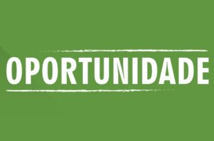Curso de italiano gratuito e online: USP disponibiliza aulas e material didático para quem quer aprender