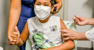  Vacinação contra dengue priorizará crianças na 1ª etapa 