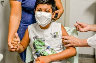  Vacinação contra dengue priorizará crianças na 1ª etapa 