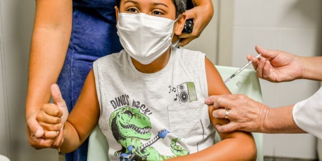  Vacinação contra dengue priorizará crianças na 1ª etapa 