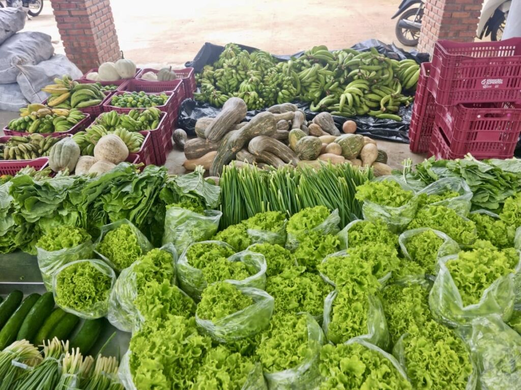 Agricultores afetados pela enchente em Porto Acre recebem apoio para minimizar os danos