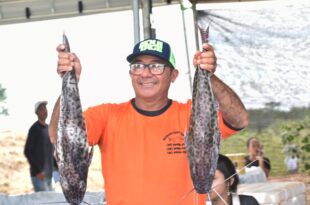 Com o apoio da Emater, produtores vendem peixes oriundos da agricultura familiar