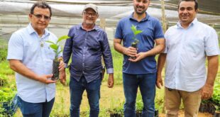 Gonzaga e Nicolau incentivam a cafeicultura no Acre. Gladson vai distribuir mudas para produtores de café