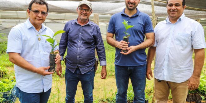 Gonzaga e Nicolau incentivam a cafeicultura no Acre. Gladson vai distribuir mudas para produtores de café