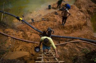 Ação do MPF pede suspensão imediata de autorizações para mineração em áreas vizinhas a terras indígenas no Acre