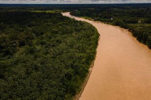 Acre apresenta redução de 30% nos alertas de desmatamento em quase 20 dias do mês de abril