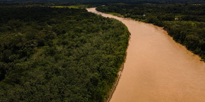 Acre apresenta redução de 30% nos alertas de desmatamento em quase 20 dias do mês de abril