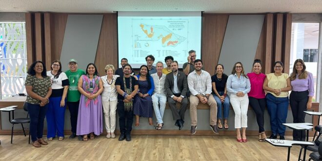 Instituições realizam reunião de atualização sobre repartição de benefícios para créditos de carbono