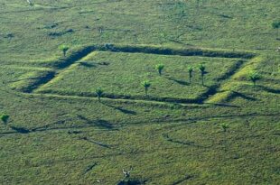 MPF requisita averbação de matrículas de imóveis que contenham patrimônio arqueológico no Acre