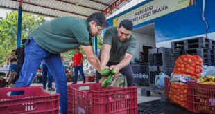 Programa de Aquisição de Alimentos fortalece agricultura familiar
