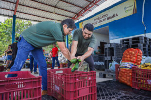 Programa de Aquisição de Alimentos fortalece agricultura familiar