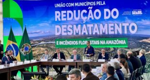 Rede de Governança Ambiental é estratégica para a redução do desmatamento
