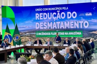 Rede de Governança Ambiental é estratégica para a redução do desmatamento