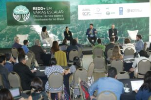 Gestores do Acre participam de oficina técnica sobre projetos privados e jurisdicionais de carbono florestal