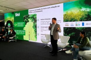 Acre e Tocantins lideram oficina técnica para geração de crédito de carbono no Brasil