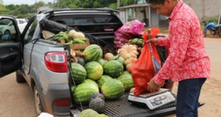 Educação eleva a qualidade de vida de comunidades da agricultura familiar