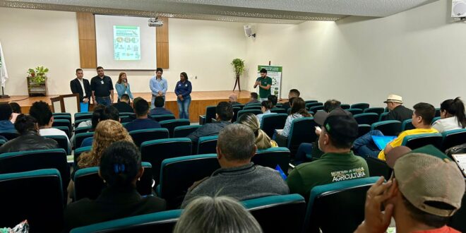 Pesquisador alerta para risco do mandarová da mandioca apresentar resistência à agroquímico