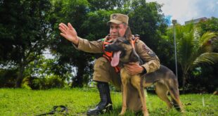 Acre envia bombeiros, cães farejadores e recursos para apoio humanitário ao Rio Grande do Sul