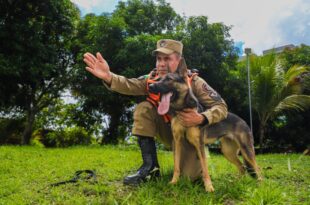 Acre envia bombeiros, cães farejadores e recursos para apoio humanitário ao Rio Grande do Sul