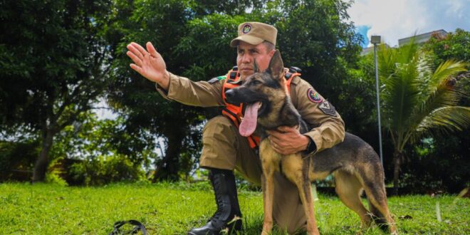 Acre envia bombeiros, cães farejadores e recursos para apoio humanitário ao Rio Grande do Sul