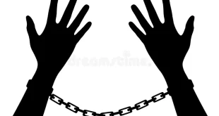 Entenda o conceito de liberdade da Extrema Direita