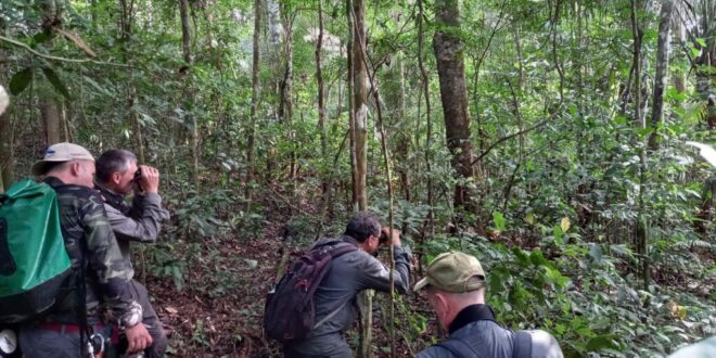 Birdwatching: observação de aves cresce no Acre e fortalece turismo na região