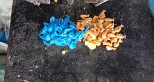 Polícia Militar prende acusado de tráfico de drogas em Cruzeiro do Sul
