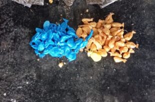 Polícia Militar prende acusado de tráfico de drogas em Cruzeiro do Sul