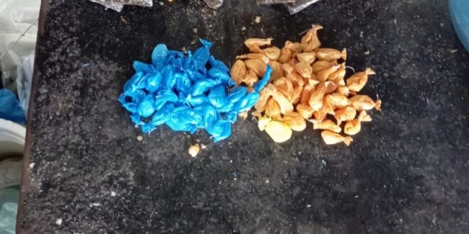 Polícia Militar prende acusado de tráfico de drogas em Cruzeiro do Sul