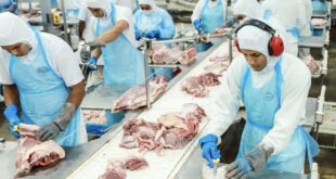 Impulsionadas pelo agronegócio exportações do Acre registram o maior volume da história
