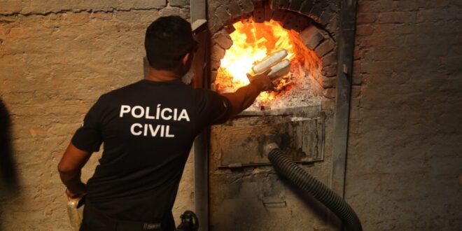 Polícia Civil incinera mais de meia tonelada de drogas