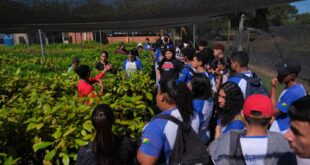 Alunos do curso de Agronegócio do Ieptec conhecem sistemas agroflorestais no Viveiro da Floresta