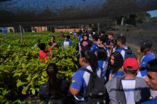 Alunos do curso de Agronegócio do Ieptec conhecem sistemas agroflorestais no Viveiro da Floresta