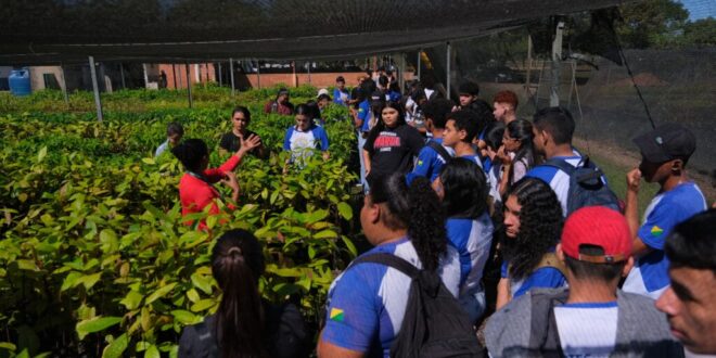 Alunos do curso de Agronegócio do Ieptec conhecem sistemas agroflorestais no Viveiro da Floresta