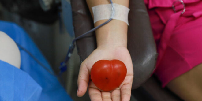 Hemoacre realiza Arraiá do Doador de Sangue nesta sexta-feira, 14