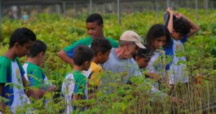 Alunos da Escola Estadual Ruy Azevedo aprendem a cultivar mudas