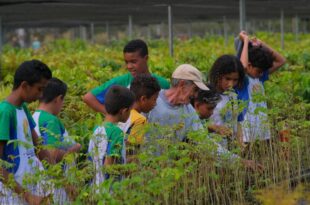 Alunos da Escola Estadual Ruy Azevedo aprendem a cultivar mudas