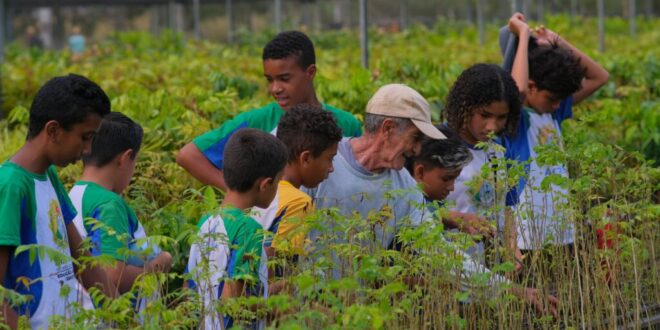 Alunos da Escola Estadual Ruy Azevedo aprendem a cultivar mudas