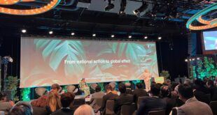 Na Noruega, governo aborda fortalecimento de políticas públicas na proteção de florestas tropicais