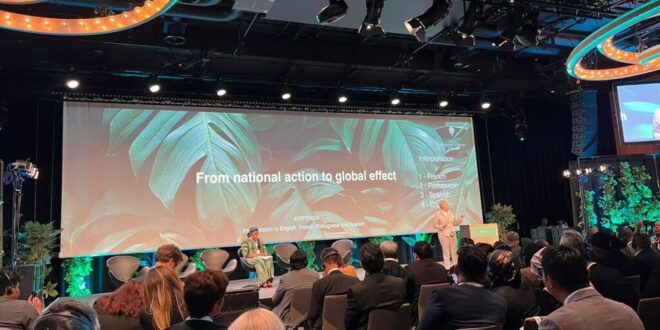 Na Noruega, governo aborda fortalecimento de políticas públicas na proteção de florestas tropicais