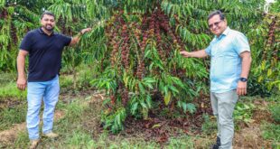 Aleac incentiva cultivo do café e presidente Gonzaga vê no agronegócio principal fonte para desenvolvimento do Acre